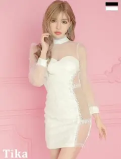 長袖ハイネック チュール フラワー総レース バストシースルー タイトミニドレス