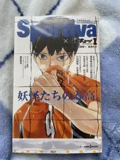 Sportiva スポルティーバ ハイキュー!! クリアファイル 5枚 セット