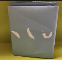 Item thumbnail for item 9b6b6e7b-1f59-44e8-a4c8-ffcb6d8b37bb