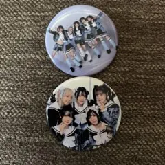 ステミレイツ 缶バッジ ティンカーベル様専用