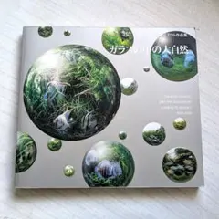 2025年最新】水草レイアウト作品集の人気アイテム - メルカリ