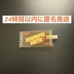 EBiDAN museum2026 iiONDO 畑駿平 ヘアクリップ