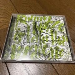 vistlip 海さんチェキ(2025.08.05)&BET lipper - メルカリ