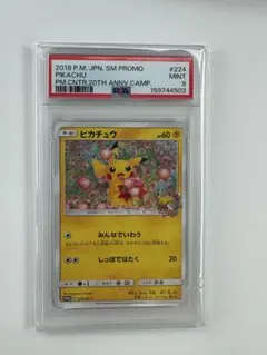 2026年最新】ピカチュウ 20th プロモの人気アイテム - メルカリ