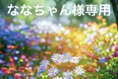 【ななちゃん様専用】ハンドメイド 11/17