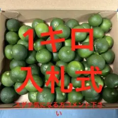 ハウススダチ 家庭用 4キロ 入札式 - メルカリ