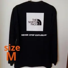 THE NORTH FACE 長袖 Tシャツ ブラック