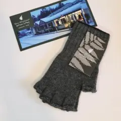 Item thumbnail for item 52c3e5d6-621a-471e-9468-29e6fa6c1cbf