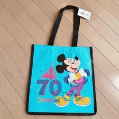 カリフォルニアディズニー 70周年記念 ビニルバッグ　32×34×22