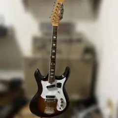 2026年最新】SILVERTONE ギターの人気アイテム - メルカリ
