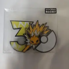 ポケモン30周年 マグネット サンダース中国ポケセン限定 - メルカリ