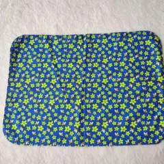 Item thumbnail for item 227ba2aa-e225-4217-b331-3418307ab3f5