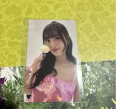 TWICE 2025 韓国シーグリ モモ トレカ PNCA特典