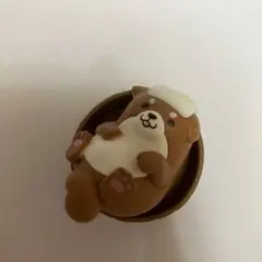 お風呂に浸かる柴犬