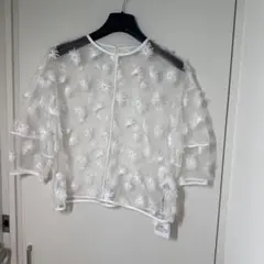 MAYSON GREY 立体フラワー刺繍 シアーメッシュ五分袖ショートブラウスのサムネイル