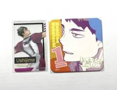 ハイキュー　牛島若利　箔押しクリアカード　アートコースター