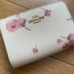 Item thumbnail for item 97da615e-454c-4c8f-a116-7c008467b3ef