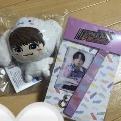 中島颯太 シナモン シナモロール ぬいぐるみ BTTM4 フォンタブ