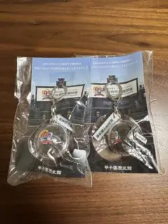 甲子園球場95周年　甲子園の土　キーホルダー　2個セット【未開封】