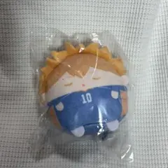 ハイキュー くじメイト ぬいくじ てのりんず 日向翔陽