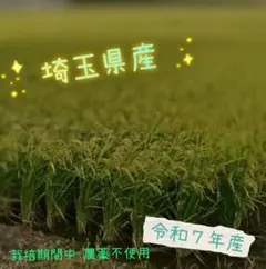 令和7年　埼玉県産　コシヒカリ　1.7のサムネイル