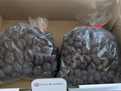 クランベリーチョコ(イヌリン)入り400g&準レーズンチョコミルク500gのサムネイル