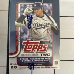 Item thumbnail for item 7f48c353-4e7f-491f-ba7c-1e6879b38163