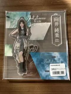 櫻坂46 田村保乃 アクスタ I want tomorrow to come - メルカリ