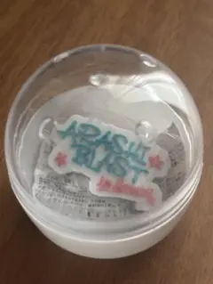 嵐　We are ARASHI ガチャ　 ロゴマグネット　Hawaii