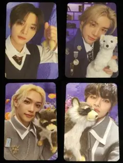 Stray Kids リノ ヒョンジン フィリックス アイエン STAYZONE