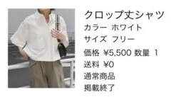 クロップド丈シャツのサムネイル