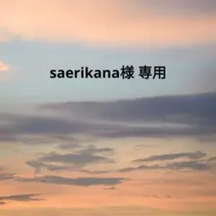 専用ページ