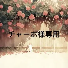 チャーボ 様　専用
