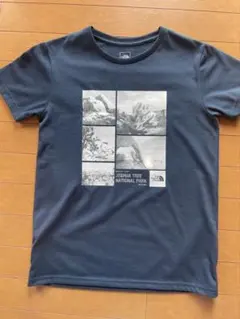 THE NORTH FACE JOSHUA TREE Tシャツ M ネイビー