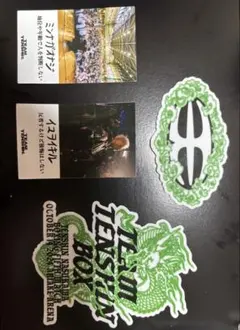 2026年最新】team tenshinの人気アイテム - メルカリ