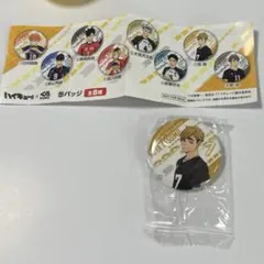ハイキュー　くら寿司　缶バッジ　宮侑