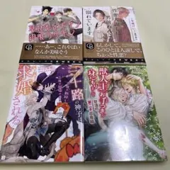 セール中！ BL小説 シャレード文庫 4冊 まとめ売り
