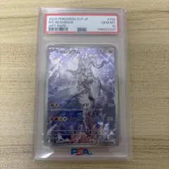 2026年最新】nのレシラム psa10の人気アイテム - メルカリ