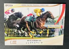EPOCH シェイクユアハート 中日新聞杯