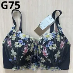 ワコール レシアージュ G75 下着 ①