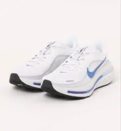 【値下げ不可】NIKE ナイキ AIR WINFLO 12 ナイキ ウィンフローのサムネイル