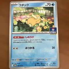 コダック ジムプロモ PROMO プロモ 262/SV-P