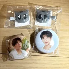 ダゴニャン ヘアクリップ テヒョン缶バッジ セット