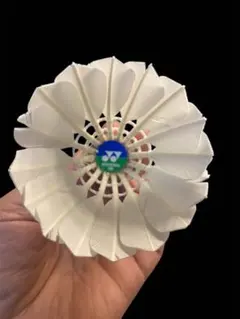 Item thumbnail for item cda55a49-8978-4c34-9549-05d5c0062d22