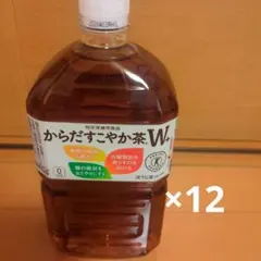 からだすこやか茶1050ml×12本のサムネイル