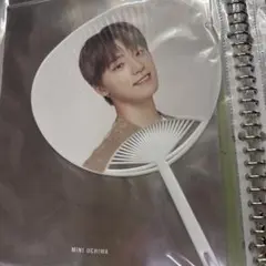 ディノ BE THE SUN うちわ 2025年最新】seventeen うちわ ディノの人気アイテム - メルカリ
