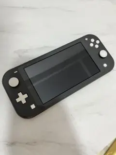 リ*ー様 Nintendo Switch Lite 本体のみ　グレー