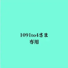 1091to4様　マウス有り