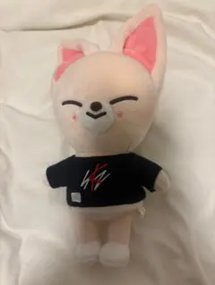 stray kids アイエン マスター ぬいぐるみ 2026年最新】straykids マスター ぬいぐるみ アイエンの人気アイテム