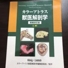 MerBegginer様 リクエスト 2点 まとめ商品